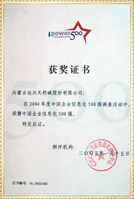 遠(yuǎn)興2004年中國(guó)企業(yè)信息化500強(qiáng)獲獎(jiǎng)證書