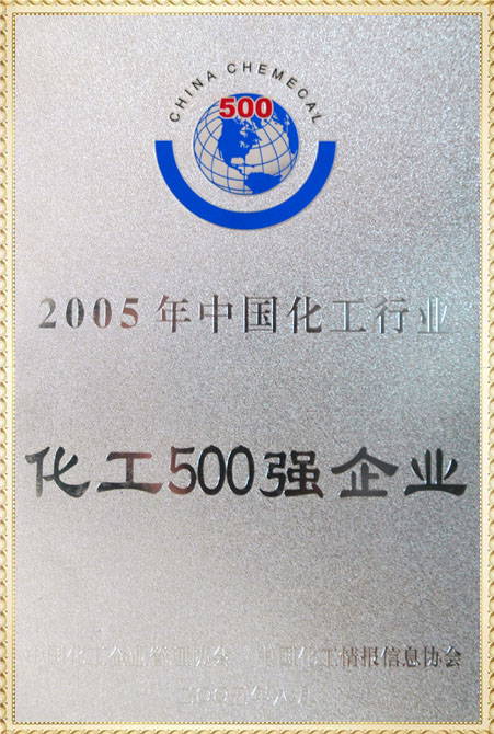 遠(yuǎn)興2005年化工500強(qiáng)獎(jiǎng)牌