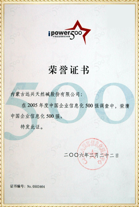 遠(yuǎn)興2005年中國(guó)企業(yè)信息化500強(qiáng)獲獎(jiǎng)證書