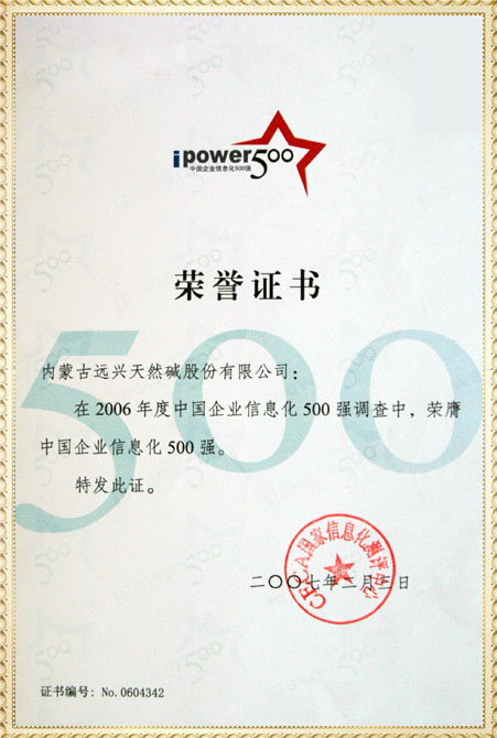 遠(yuǎn)興2006年中國(guó)企業(yè)信息化500強(qiáng)獲獎(jiǎng)證書