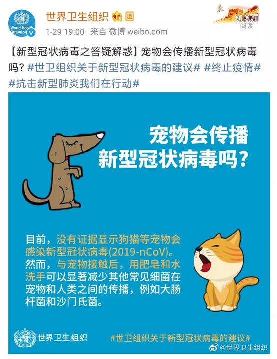 家里的貓狗，會傳染新冠狀病毒嗎？